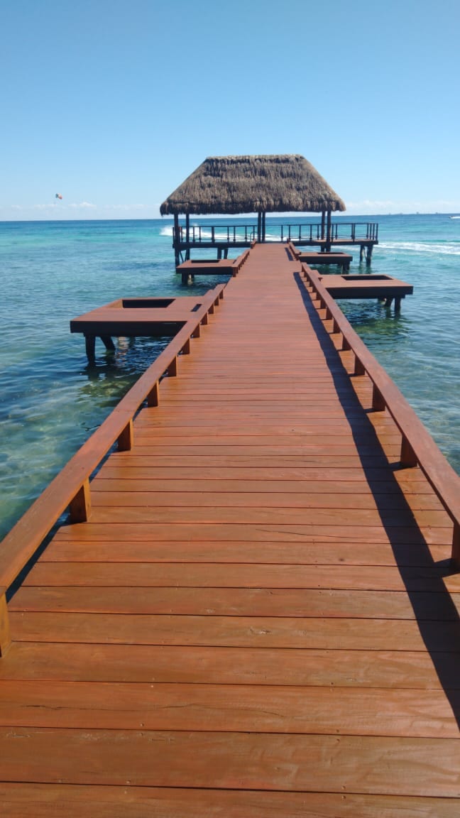Muelles: Diseño, Construcción y Mantenimiento